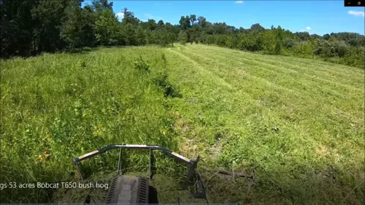 PART 2 Time Lapse, Bush hogging 7' Jungle, Land clearing follow up, Land management & More.