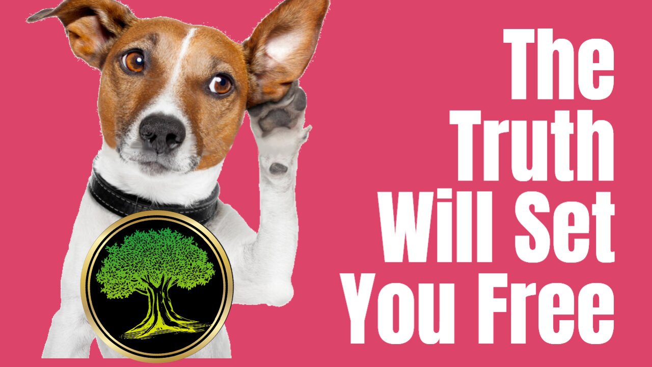 You Are Already DEBT FREE | How To Beat The Debt Collection Agents!
