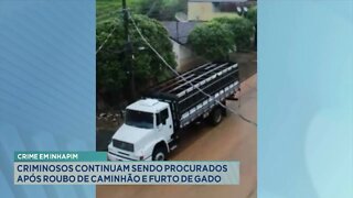 Crime em Inhapim: criminosos continuam sendo procurados após roubo de caminhão e furto de gado