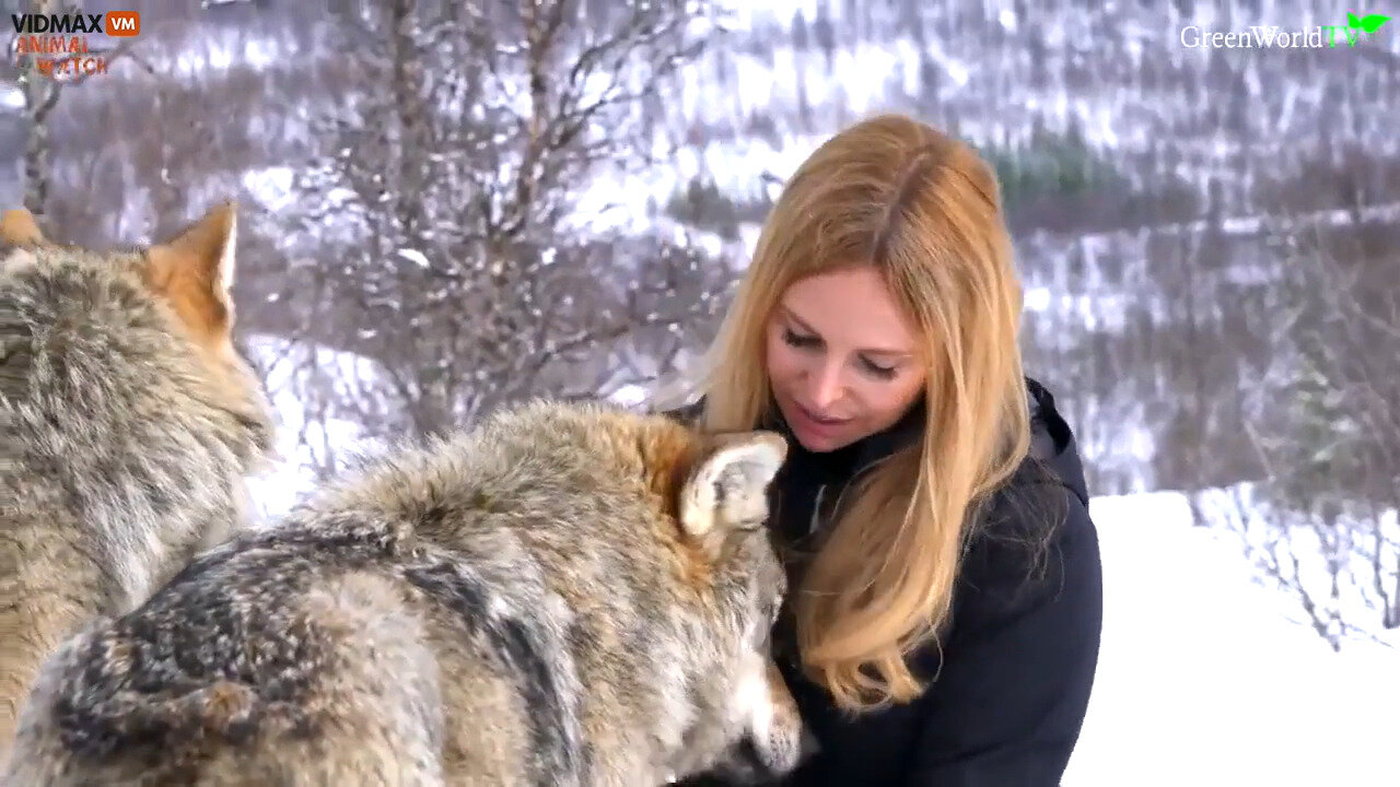 This Woman Is A Little Too Close To These Wolves And Not In The Way You Think