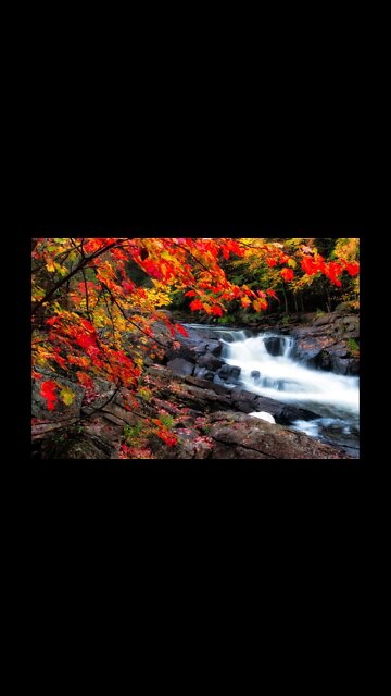 one of the most beautiful things in the world is waterfall, with music then.... 🎶