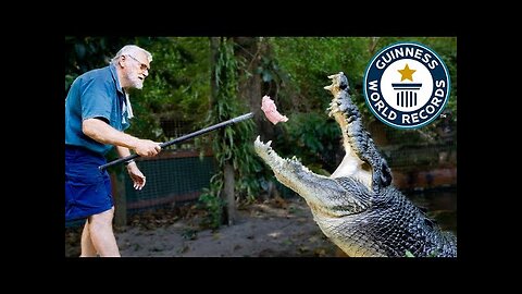 Meet Cassius, World's Largest Crocodile! - Guinness World Records