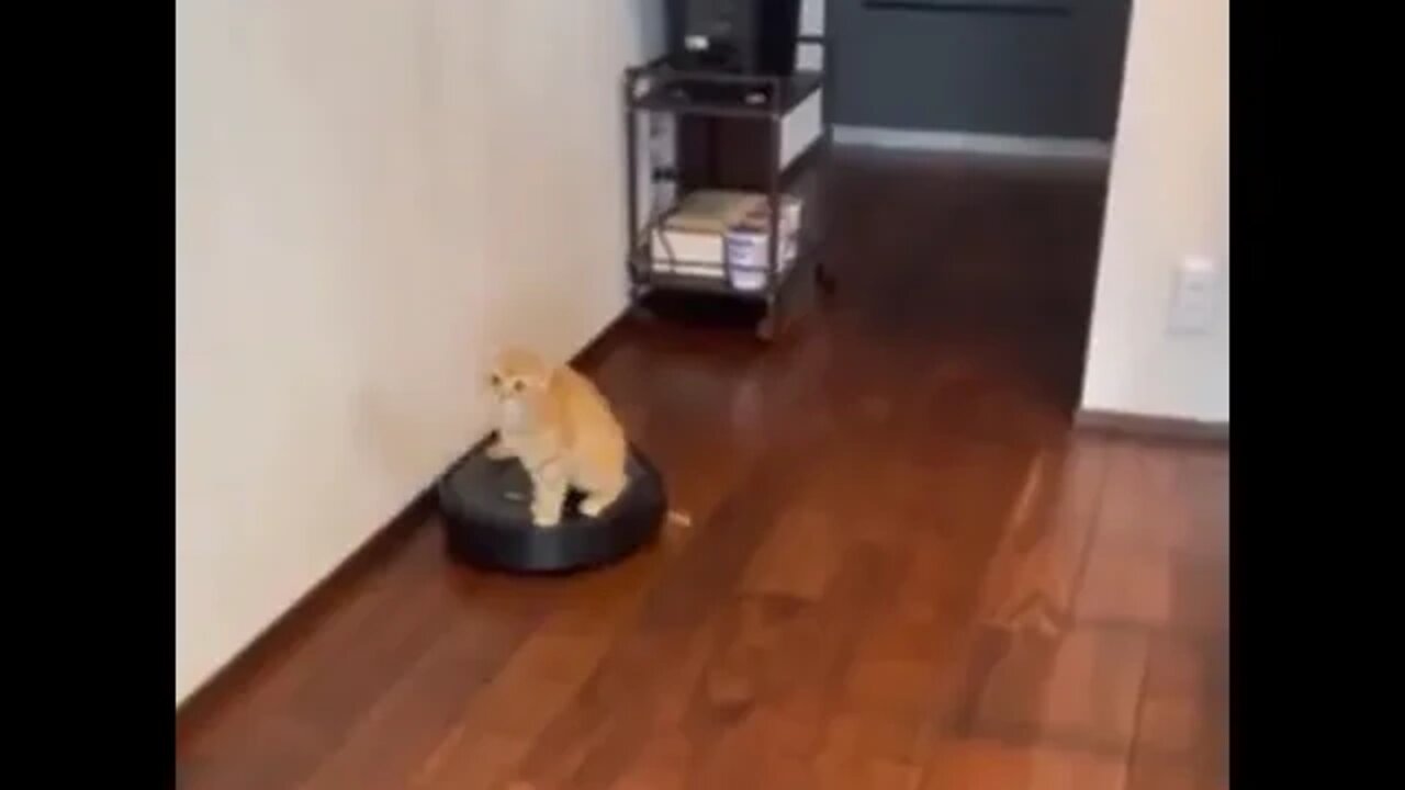 That last look.. “Help” 😂