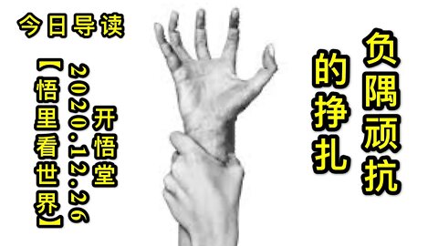 负隅顽抗的挣扎-今日导读KWT645【悟里看世界】 201226-01 fywkdzz