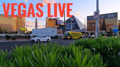 Vegas Livestream - Vegas is Your Happy Place…