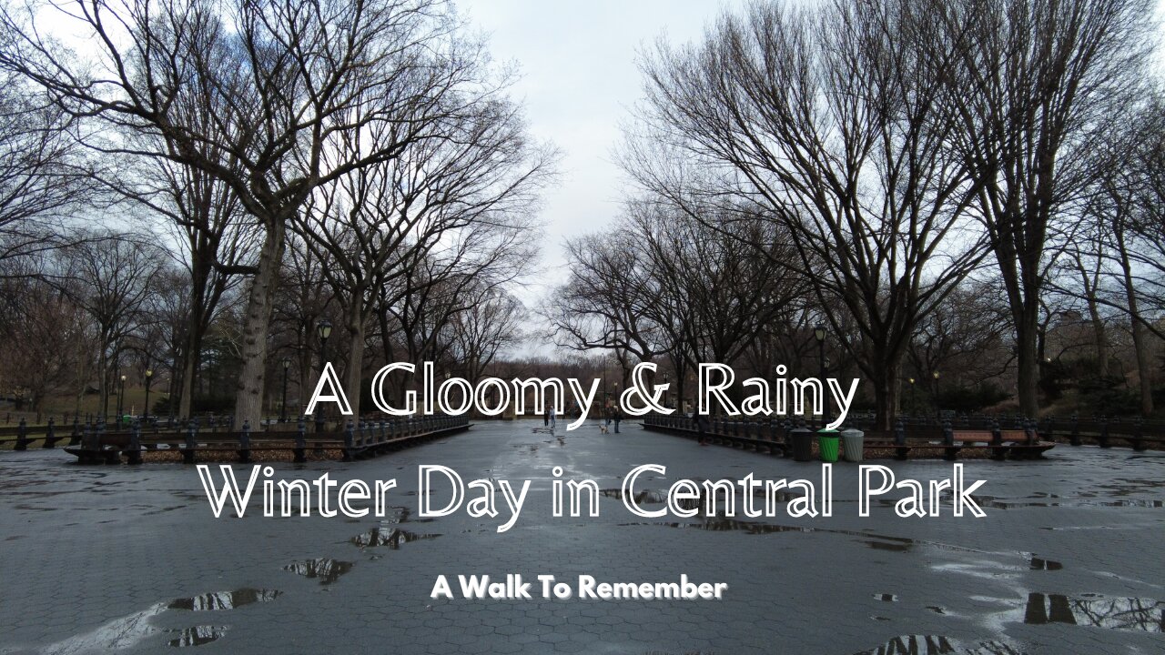 Walk in Central Park on a Gloomy and Rainy Winter Day | From North W 110th St to South E 59th St