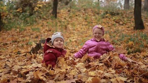 Fall Promo 2022