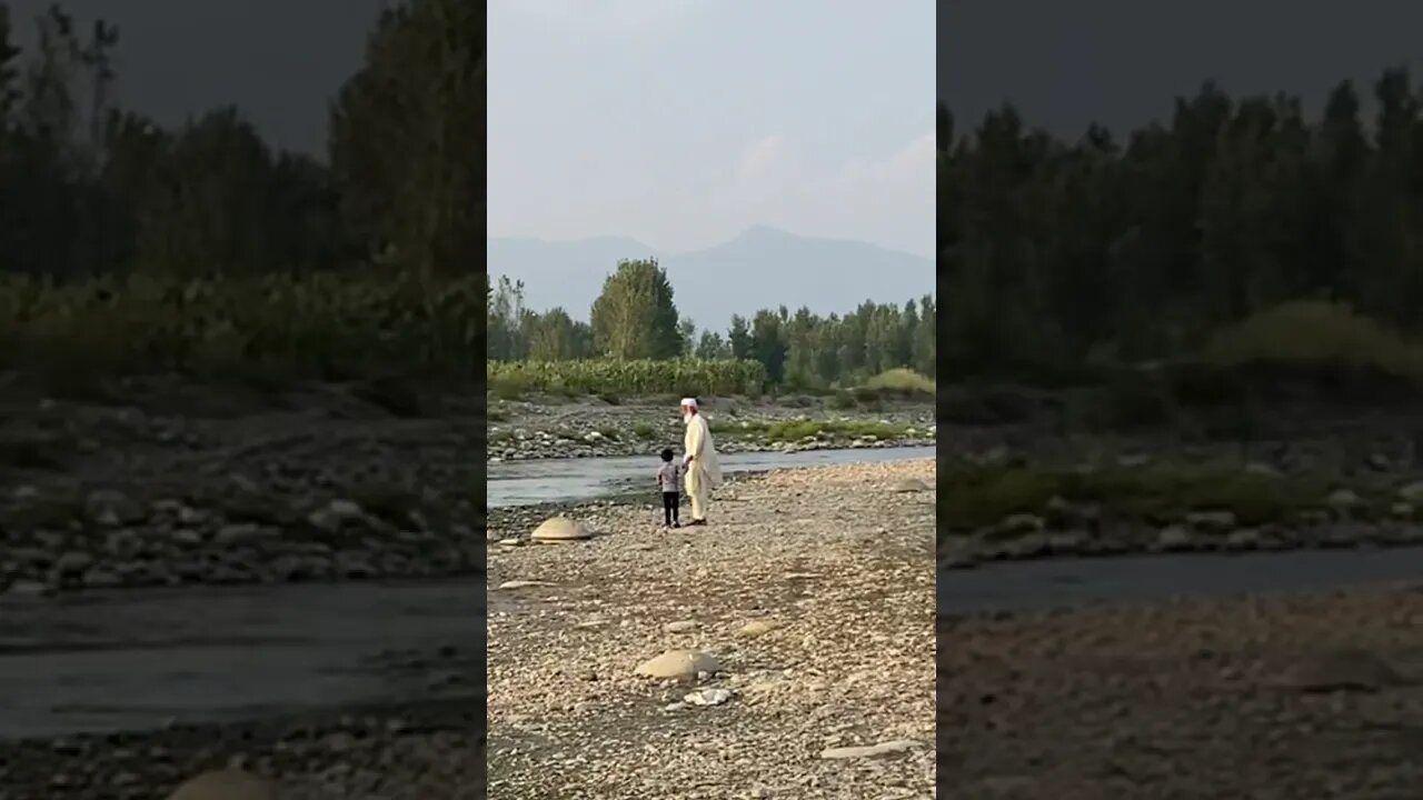 #short #babyshark