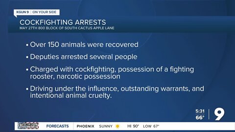 Several people arrested for cockfighting face multiple charges