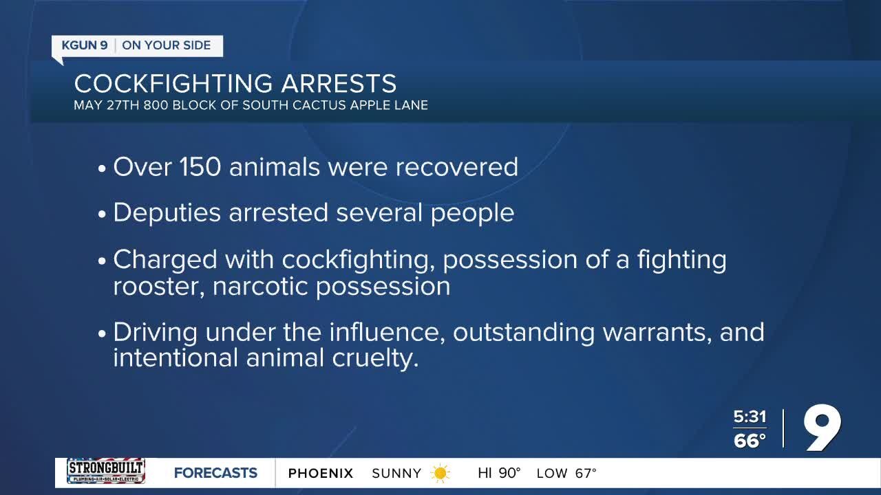 Several people arrested for cockfighting face multiple charges