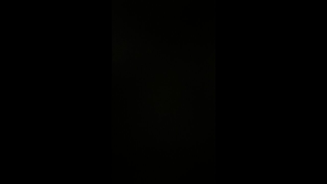 Celebrate the spring