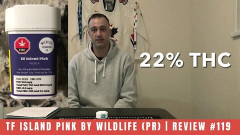 TF ISLAND PINK by Wildlife (PR) | Review #119