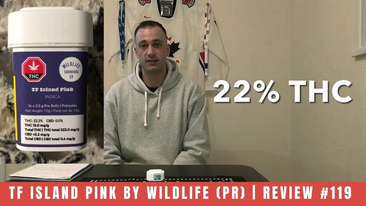 TF ISLAND PINK by Wildlife (PR) | Review #119