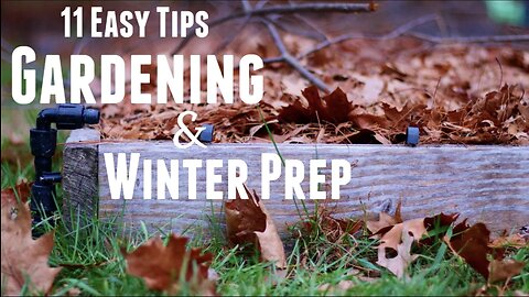 Prepare Your Garden for Winter in 11 Easy Steps | Winterizing Raised Garden Beds for Spring