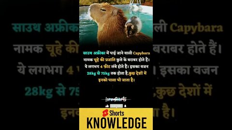 Motivational Quotes Intresting Facts lifestyle & research #shorts #ytshorts #knowledge #motivation