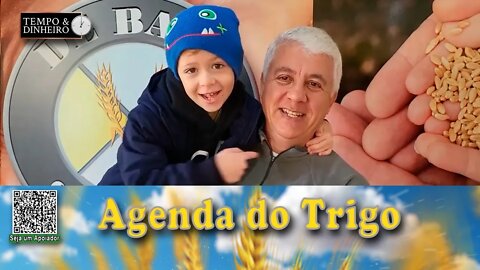 A realidade mundial é de colheita, de trigo, no Hemisfério Norte...