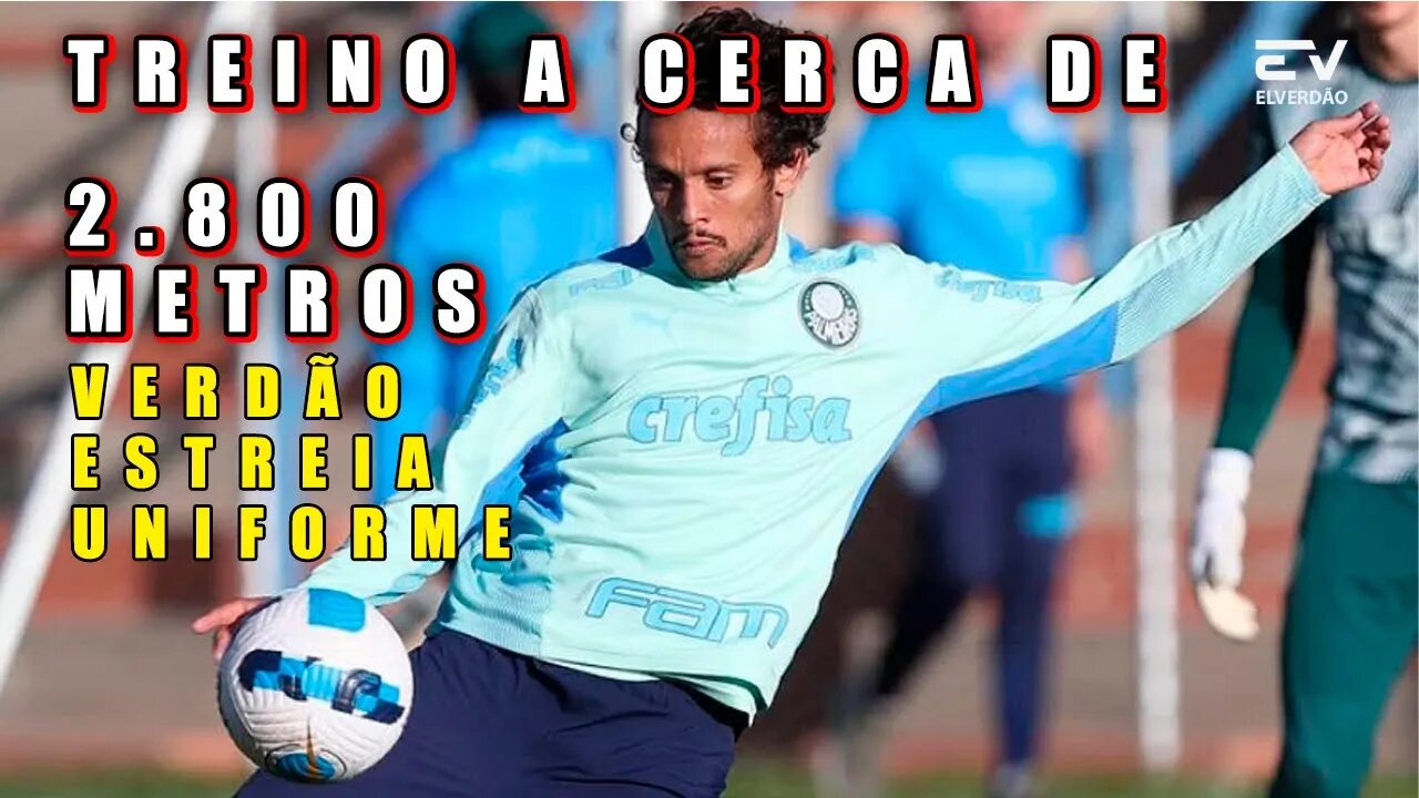 ✅TREINO A CERCA DE 2,800 METRO, VERDÃO ESTRIA UNIFORME#,palmeiras,palmeiras noticias,