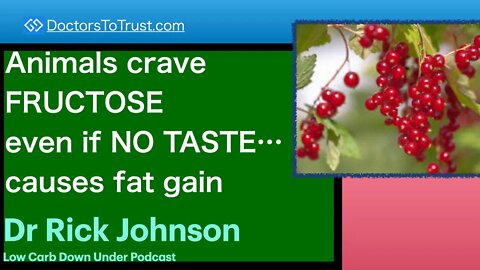 RICK JOHNSON 2 | Animals survive winter and drought via…burning body fat