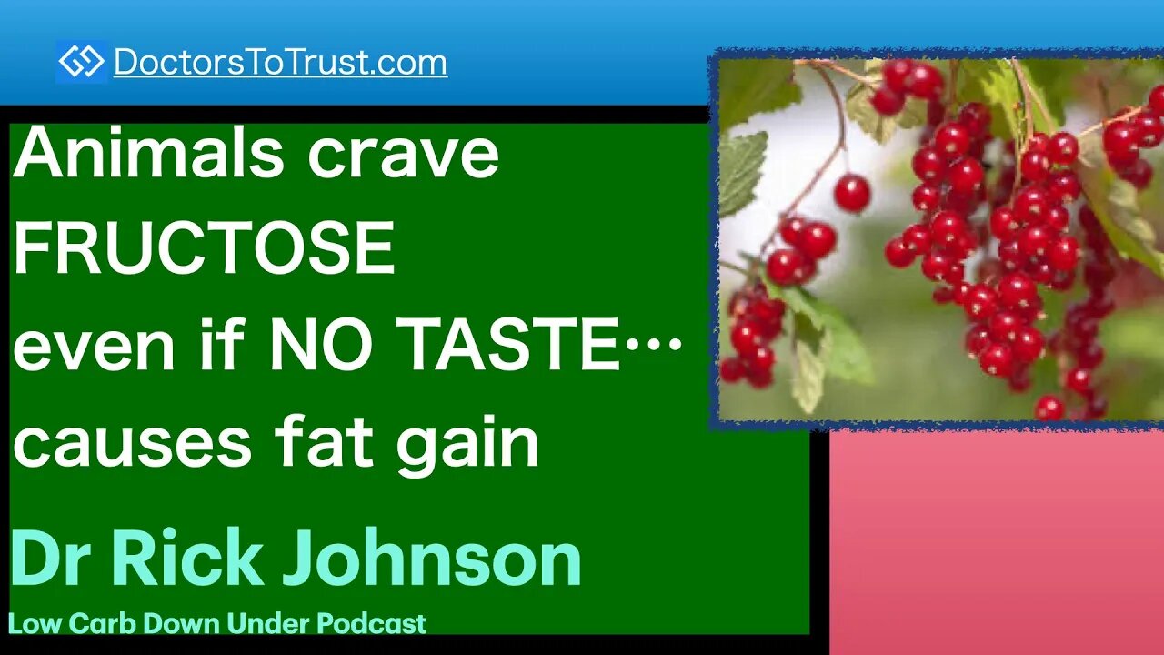 RICK JOHNSON 2 | Animals survive winter and drought via…burning body fat