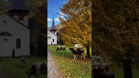 Canal=Léo Sócrates