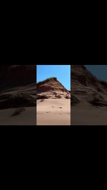 Sand dune where birds live