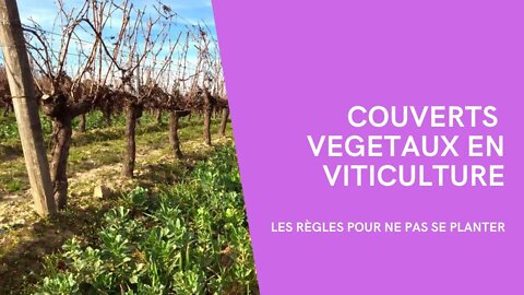 Couverts végétaux en viticulture, les règles pour ne pas se planter - François Dargelos