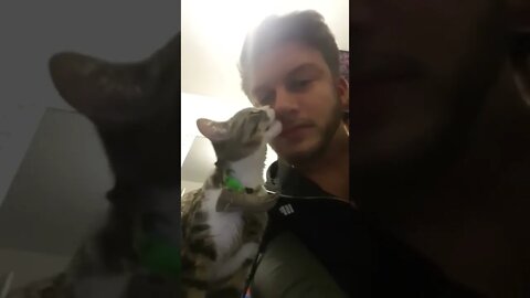 Evil cat licking my nose