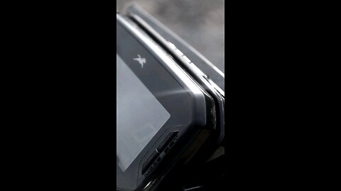 The raider !!