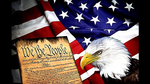 28th amendment takes you guns