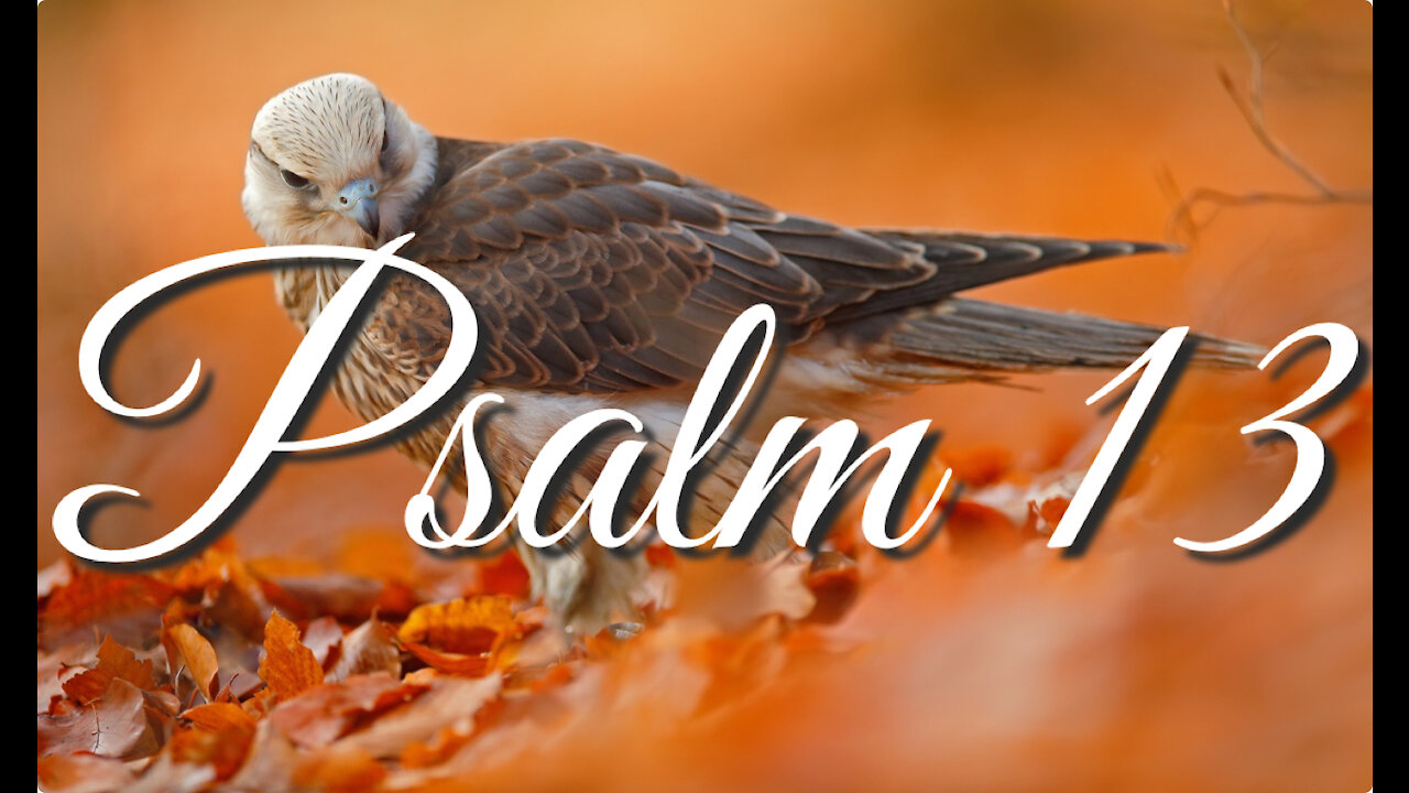 Psalm 13 | Music & Ambience