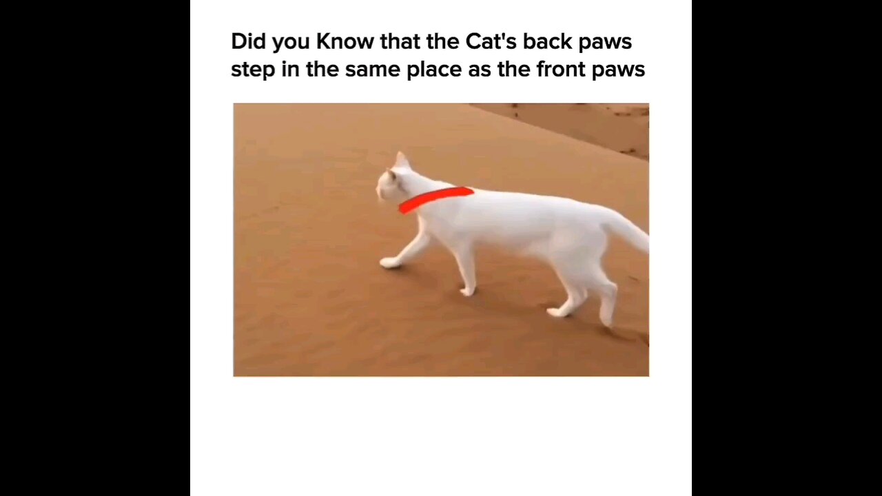 Have u ever noticed it before ?