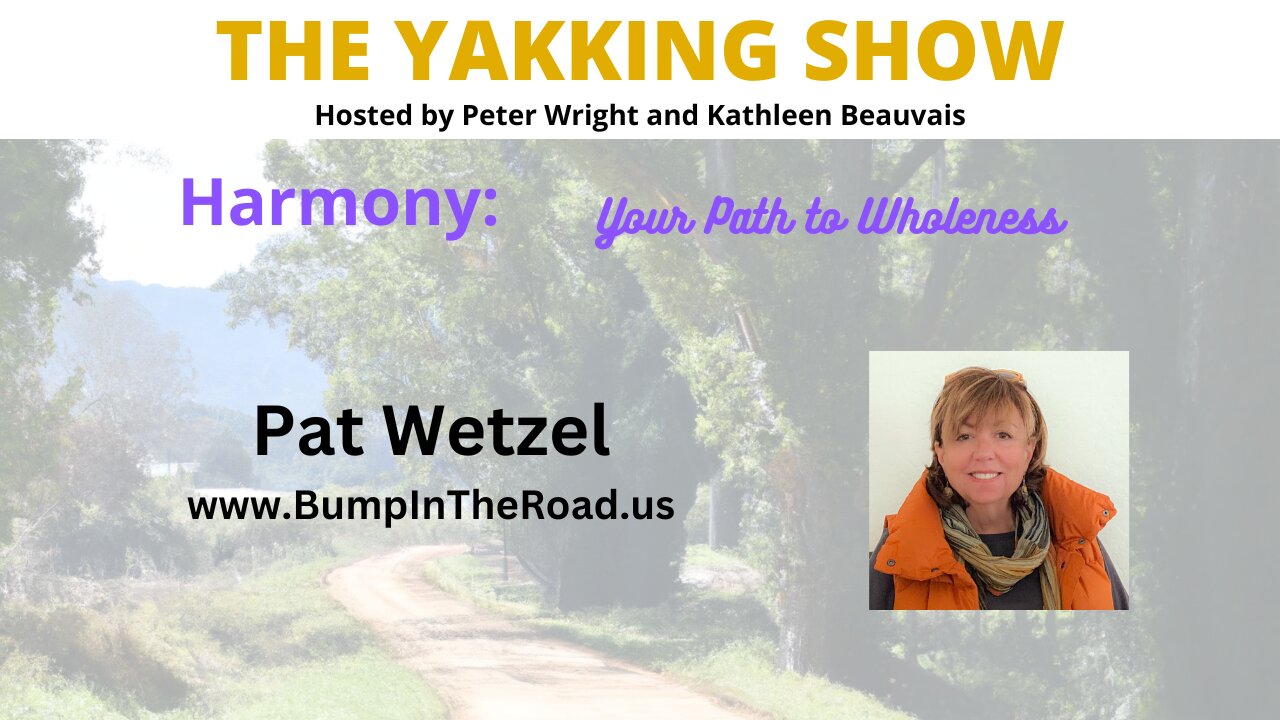 Bump in the Road: Overcoming Adversity & Finding Resilience | Pat Wetzel
