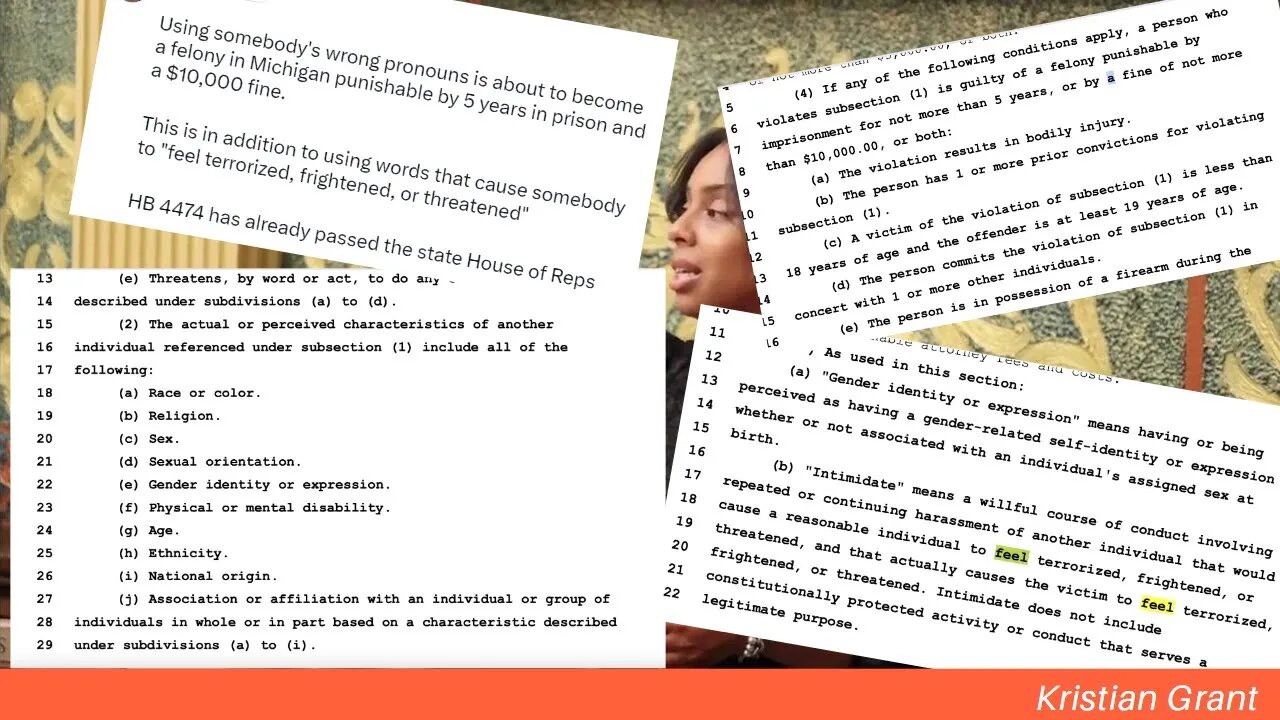 Michigan House, Makes Using 'Wrong Pronouns' A Felony