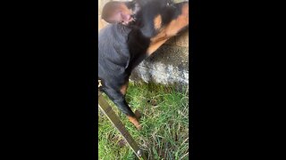 “I’ll take that thamks” 😂