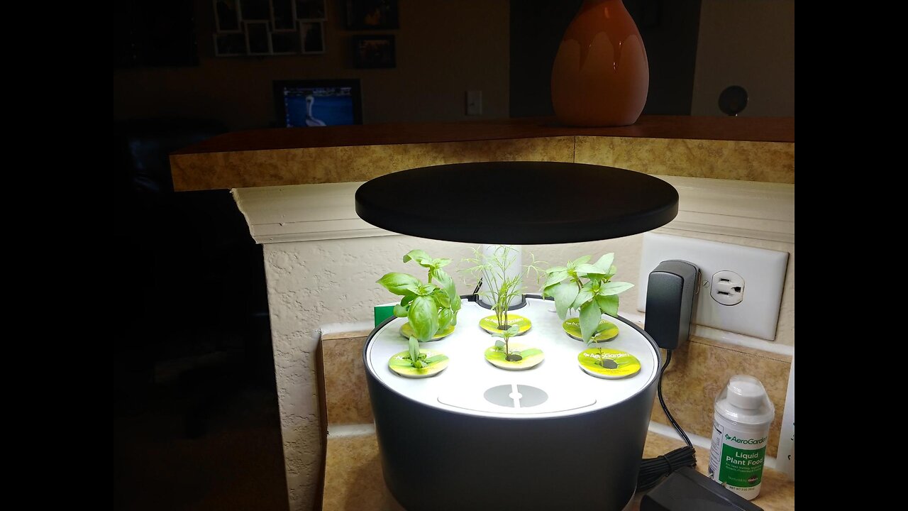 AeroGarden Indoor Garden, Harvest 360, Sage