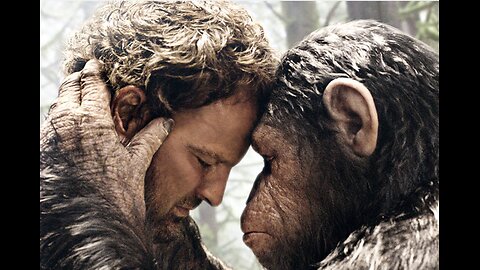 Amalgamation Between Man and Beast