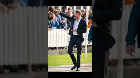 Prince Harry Using His Mother's Memory for Self Promotion Again!
