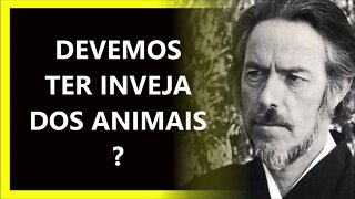 TER INVEJA DOS ANIMAIS, ALAN WATTS DUBLADO