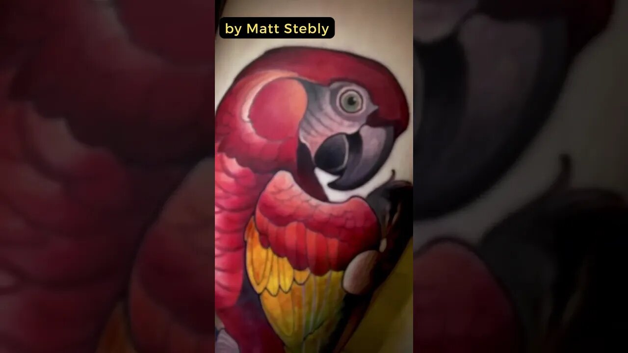 Stunning work by Matt Stebly #shorts #tattoos #inked #youtubeshorts