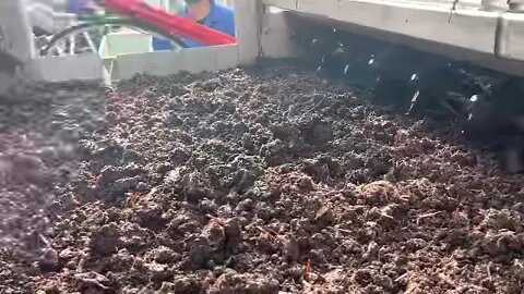 Alpie machines