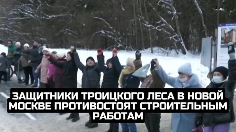 Защитники Троицкого леса в Новой Москве противостоят строительным работам / LIVE 09.02.22