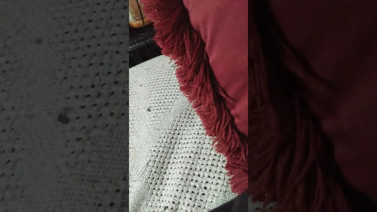 It's been said. #copa #newyoutube #newtube