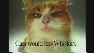 "The Cat Loves These Dancing Birds" 90's Whiskas Commercial (1993)
