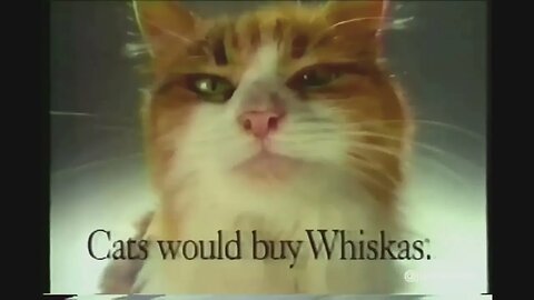 "The Cat Loves These Dancing Birds" 90's Whiskas Commercial (1993)