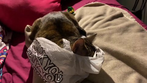 She is being naughty