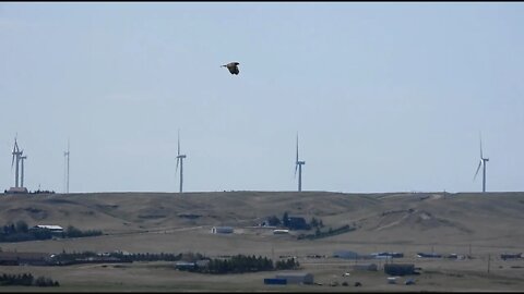 CO2 Devastation In Wyoming