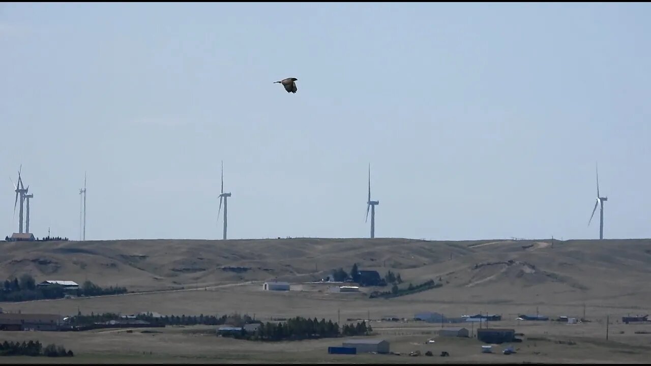 CO2 Devastation In Wyoming