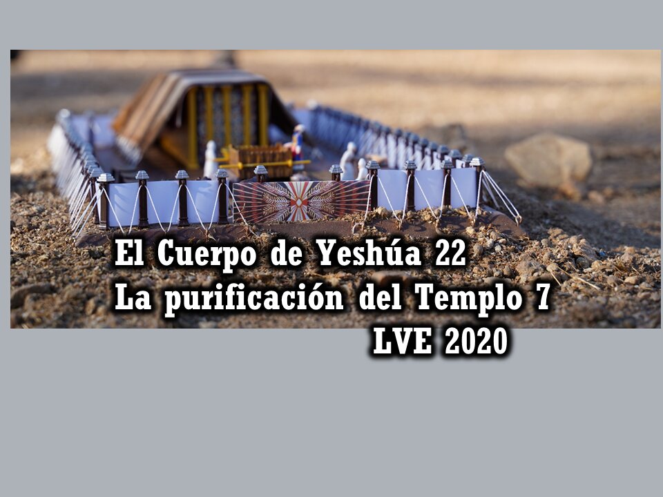 El Cuerpo de Yeshúa 22 - La purificación del Templo 7