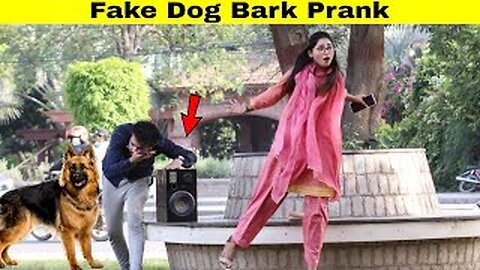 funny dog prank & huge box prank to dog