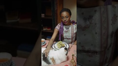 KUCING LUCU #PART 42